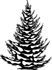 Fototapeta premium Pine tree covered in snow symbolizing winter Christmas season