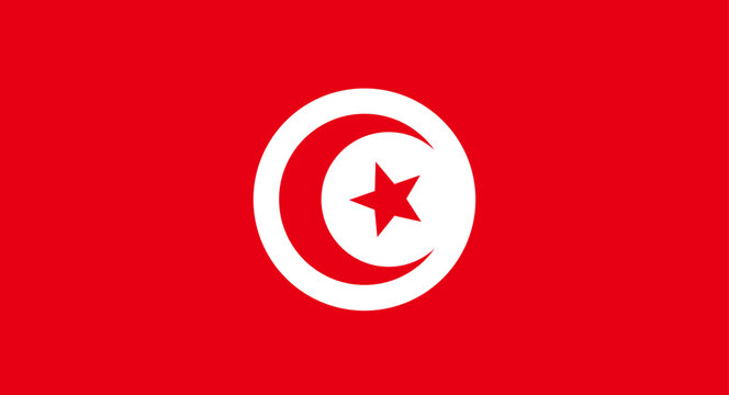 Tunisia national flag representing identity and patriotism
