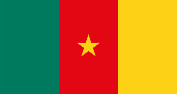 Cameroon national flag displaying green red yellow stripes