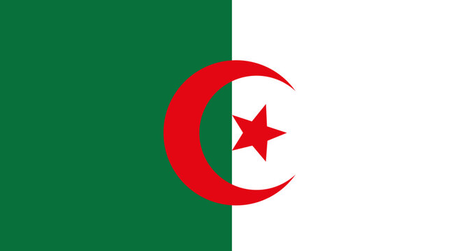 Algeria national flag representing country and independence