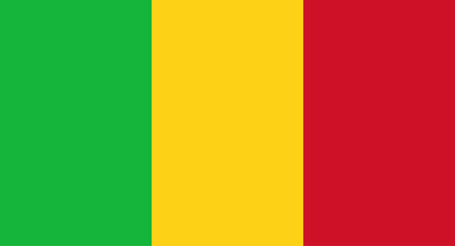 Mali national flag waving representing country and government