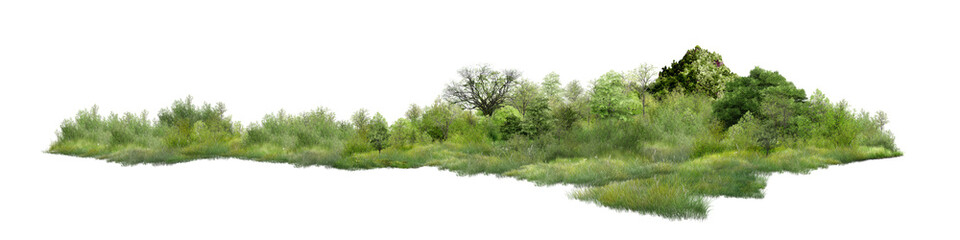 green grass on white background/Wide green meadow with trees and bushes isolated on a white background, panoramic natural landscape element for design use.