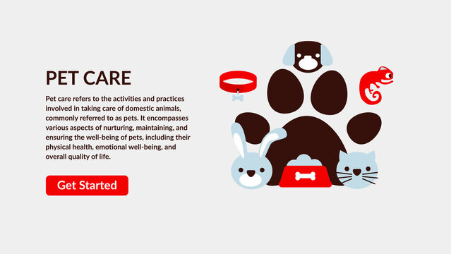 Pet Care Design Concept