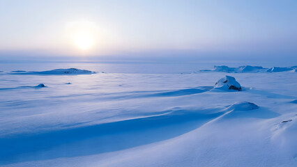 Obraz premium Cool Blue in Arctic and palette theme. Frozen arctic landscape with snow-covered ground under a pale sun.