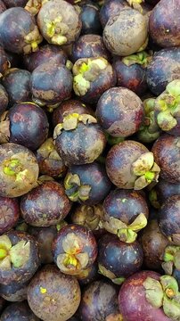 Pile of fresh mangosteen retail sale in local market. Manggis or mangosteen or garcinia mangostana or purple mangosteen is sweet, tangy and juicy. 
