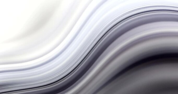 Abstract White Gray Wavy Lines Background.