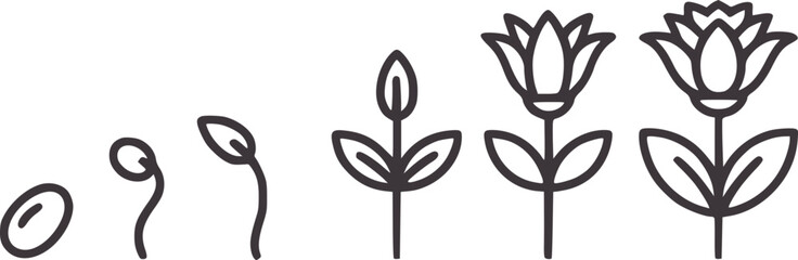 Minimalist black and of a flower growing from seed to bloom sprout plant leaves stem © Salam