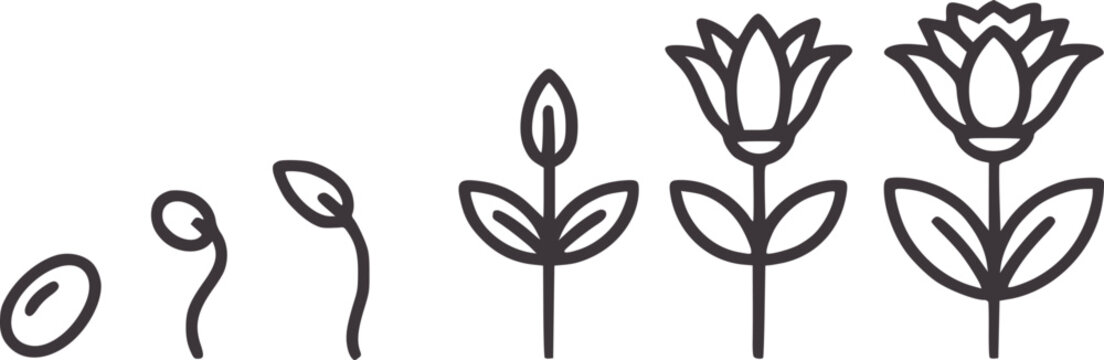 Minimalist black and of a flower growing from seed to bloom sprout plant leaves stem