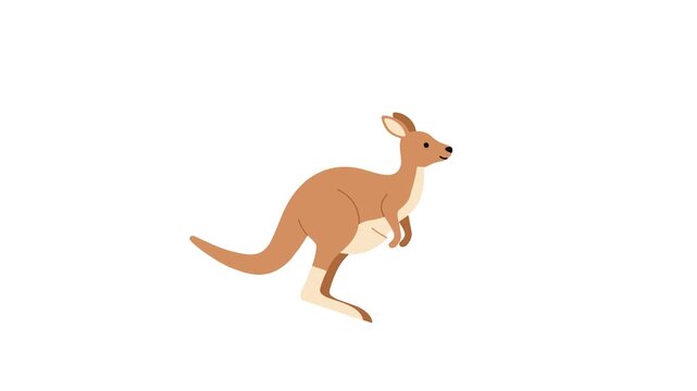Video Kangaroo Vector Animation