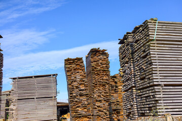Stacks of Sawn Wood Planks Drying Outdoors at a Sawmill The Concept of Timber Industry