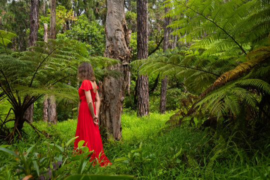 Sole woman in vibrant red dress wanders in lush, mysterious rainforest amidst ancient green ferns.