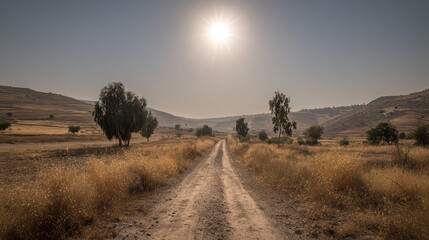 Dirt Road Leading Through Golden Field Towards Distant Hills Under Bright Sun on Sunny Day in Rural Landscape with Clear Sky