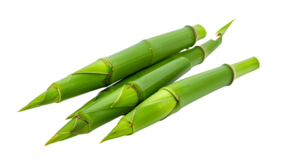 Four bamboo stalks, neatly wrapped with green leaves, isolated against a black background
