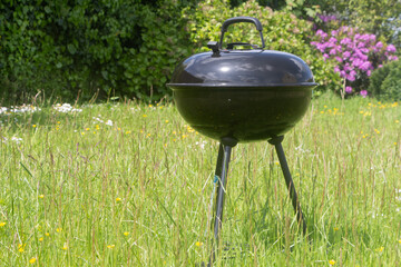 Barbecue in a garden