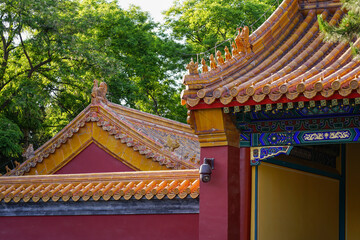 Obraz premium The Forbidden City,Traditional Chinese architectural roof with ornate yellow tiles and red walls surrounded by green trees