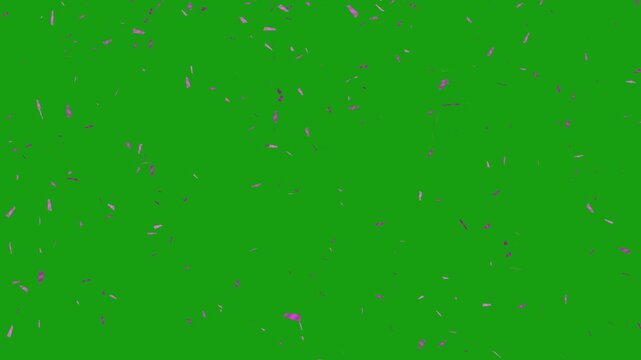 purple confetti falling on green screen loop, valentine day  romantic purple confetti overlay.  colorful confetti rain on green background