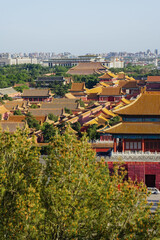 The Forbidden City,Aerial view of traditional Chinese palace complex with golden rooftops and surrounding greenery