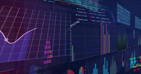 Animation of statistics and financial data processing over grid - Powered by Adobe