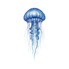 Beautiful blue watercolor jellyfish with translucent bell and flowing tentacles swimming in ocean © slowbuzzstudio
