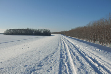 winter road in the snow