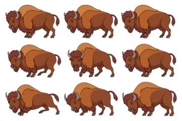 American bison buffalo sprite sheet for animation showing different walking and standing poses in sequence