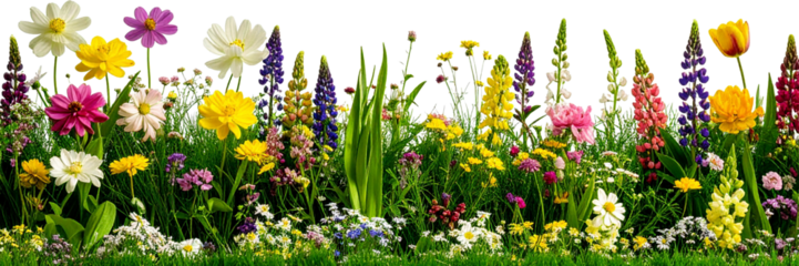 春 　花　お花畑　カラフルな花 野原 背景　ai生成画像	
