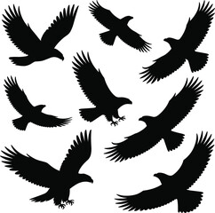 Obraz premium Flying bird silhouettes collection in different wing positions, black raven crow shapes, wildlife nature concept isolated on white background