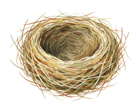 Empty bird nest made of twigs and grass in a natural watercolor illustration style on a white background