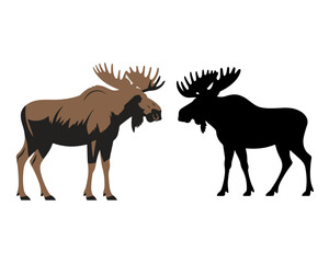 Obraz premium Moose vector illustration set with brown colored profile and black silhouette.