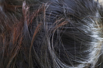 Messy texture of dark hair showing damaged strand and split end with dry look, close up details of unstyled black hairstyle requiring care and conditioning treatment to fix frizzy appearance