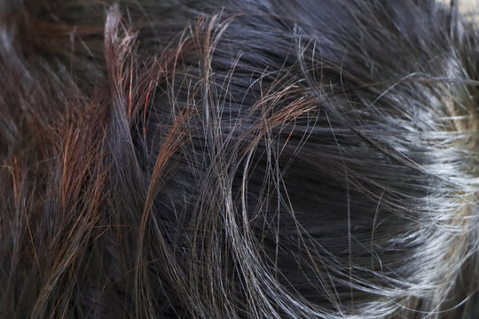Messy texture of dark hair showing damaged strand and split end with dry look, close up details of unstyled black hairstyle requiring care and conditioning treatment to fix frizzy appearance