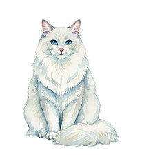 White fluffy cat with bright blue eyes sitting calmly front view watercolor painting domestic pet