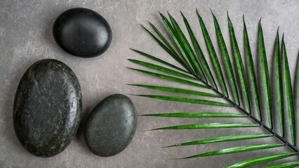 Gray Textured Background with Dark Stones and Green Palm Frond in Corner Arrangement.