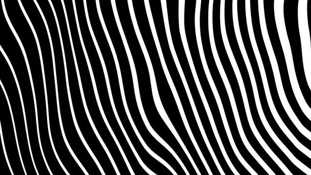 Combining the elements prioritizing clarity and searchability zebra animation reveals black and white optical illusion stripes with a gold logo.