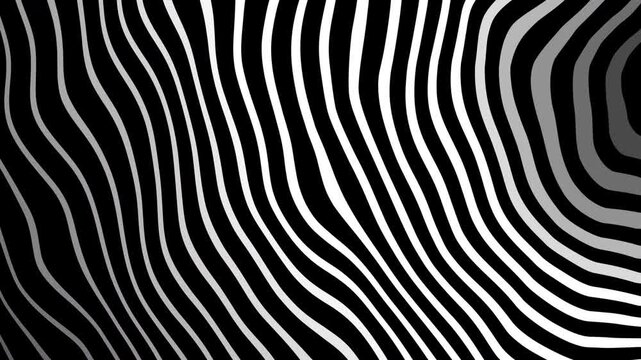Combining elements for clarity and searchability, zebra animation displays an optical illusion of black and white stripes with a gold logo suitable for branding projects.