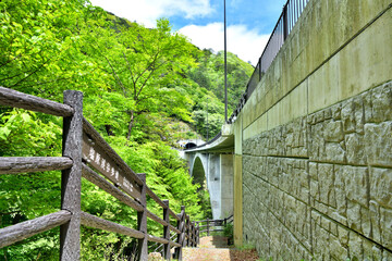 栃木県那須塩原市　塩原渓谷に架かる留春大橋 © TNK