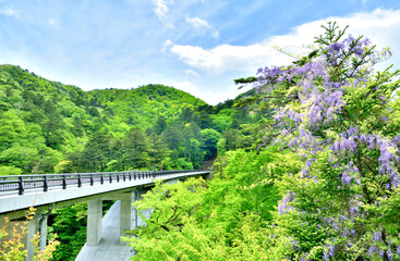 栃木県那須塩原市　塩原渓谷に架かる留春大橋 © TNK