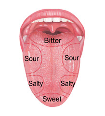 Tongue - The part that senses taste
