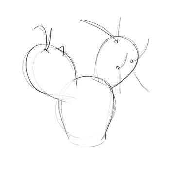 hand drawn vector illustration of paper spine cactus