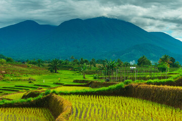 Fototapeta premium Beautiful morning view in Indonesia, panoramic landscape of rice fields with mountain ranges and clear sky