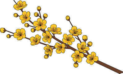Beautiful vector illustration of a flowering branch with yellow blossoms and buds isolated on white background for spring greeting cards and seasonal decor.
