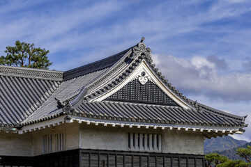 Fototapeta premium Matsumoto Castle, Japan