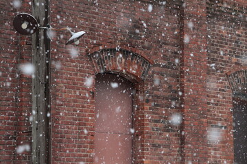 雪が舞う赤レンガ倉庫