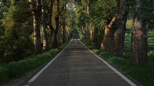 Spain, Navarre, Aranguren April 29, 2025 A local road to the town of Aranguren