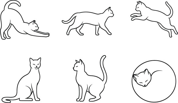 Six outline illustrations of a cat in different poses like stretching, sitting, and jumping
