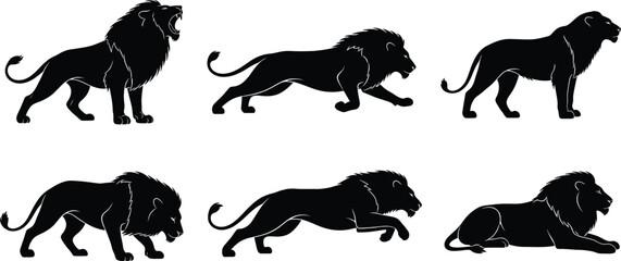 Obraz premium a set of black lion silhouettes in various poses