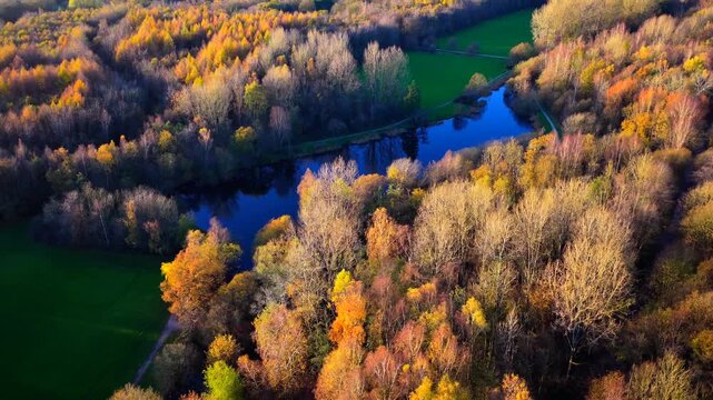 Aerial video of the serene Drinkwater Park lake, surrounded by colourful autumn woodland and green meadows in the Salford and Prestwich area.