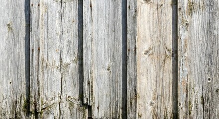 Rustic Aged Wood with Detailed Grain Patterns and Blemishes