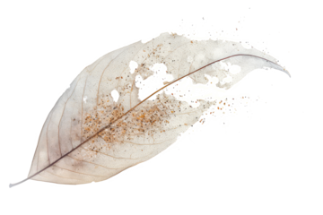Green Leaf Disintegrating into Wind and Particles