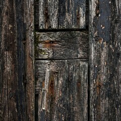 Weathered Wooden Door Panels with Peeling Paint